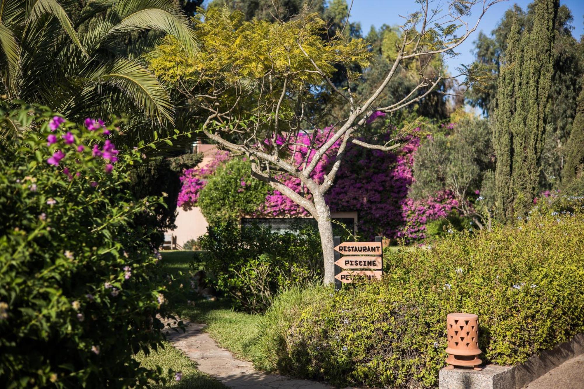Bed and Breakfast Dar Maktoub Agadir Zewnętrze zdjęcie
