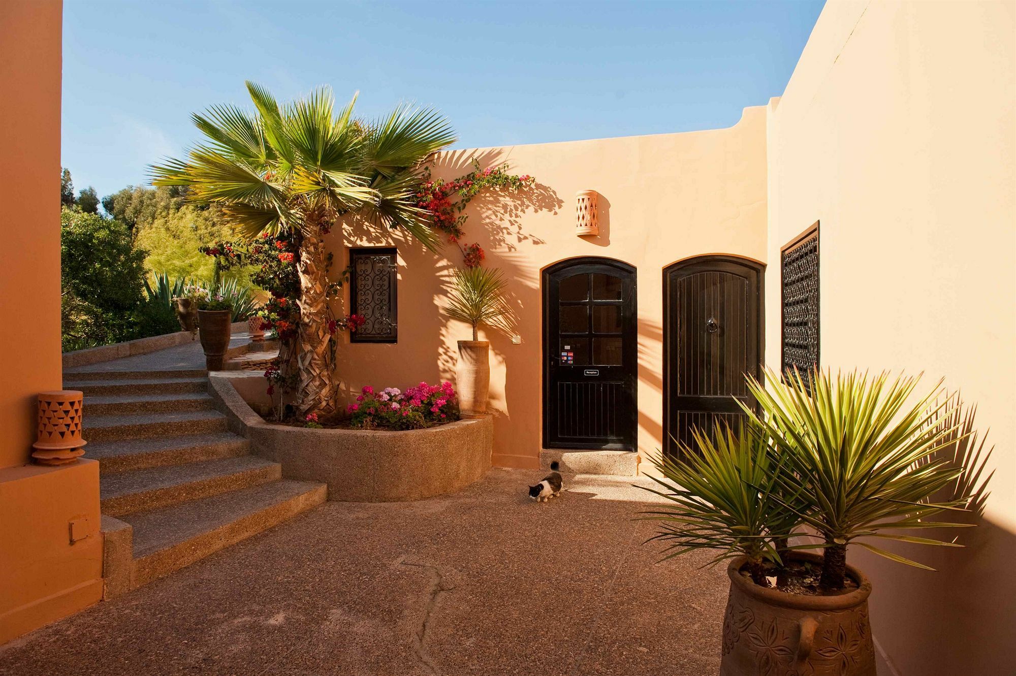 Bed and Breakfast Dar Maktoub Agadir Zewnętrze zdjęcie